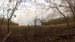 chasse au dindon quebec 2017 !!