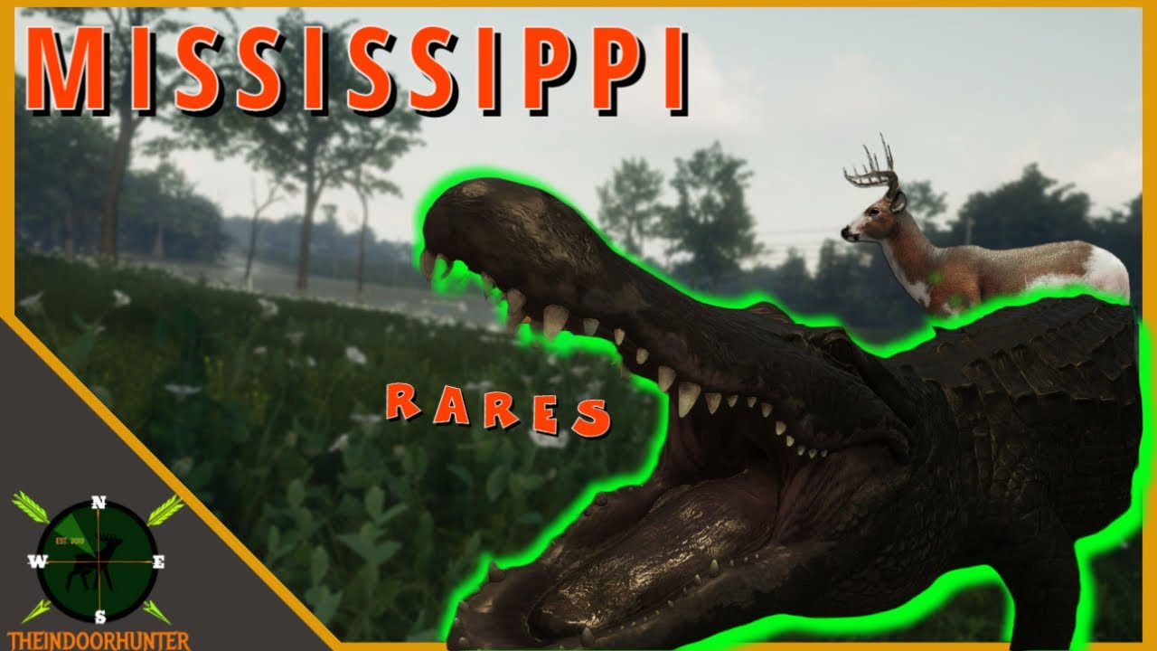 Melanistic ALLIGATOR with Piebald Whitetail theHunter Call of the Wild