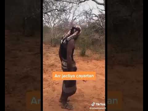 Saar Nin Reer Kismayo Ah