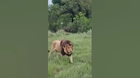 Okavango Delta male - DayDayNews