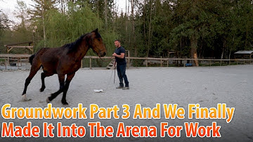 Groundwork Part 3 With Sir Wilde And We Finally Made It Into The Arena
