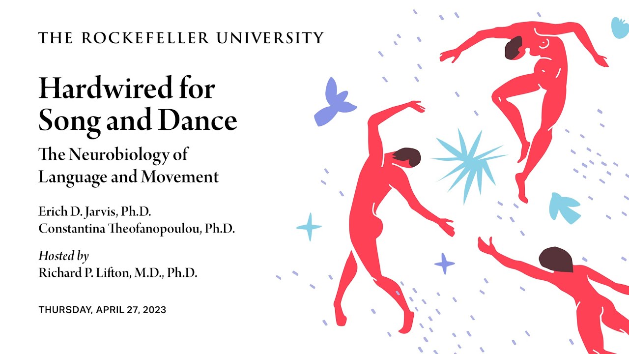 hardwired-for-song-and-dance-the-neurobiology-of-language-and-movement