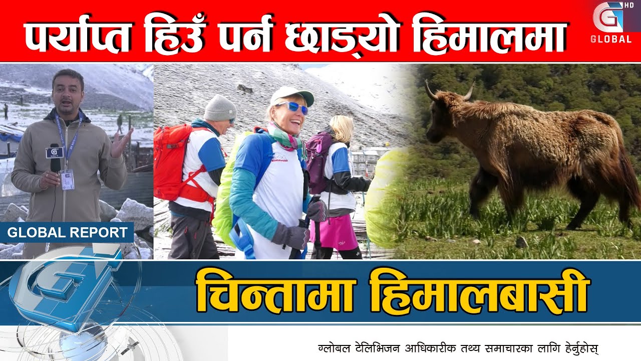 जलबायु परिवर्तनले हिमालहरु कालापत्थरमा परिणत हुँदै,स्थानीयलाई चिन्ता,छैन सरकारको ध्यान|Global Report