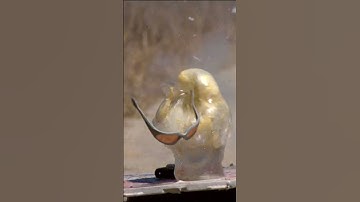 RED DRAGON - Futuristic 12ga Shotgun Slug #futureweapons #experiment
