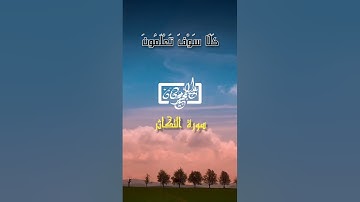 سورة التكاثر ❤🌸