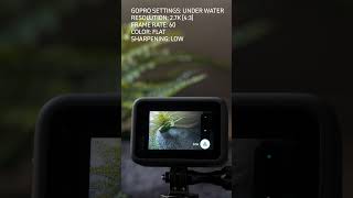 How to Setup GoPro for Under Water | RehaAlev