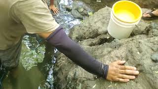 Pescando Platiadas en la Quebrada.