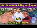 पौधों की Growth के लिए क्या है बेहतर Grow Bag या गमला? | गमला vs Grow Bag