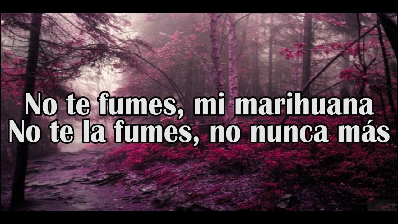 No te fumes mi marihuana Mon Laferte (Letra) YouTube