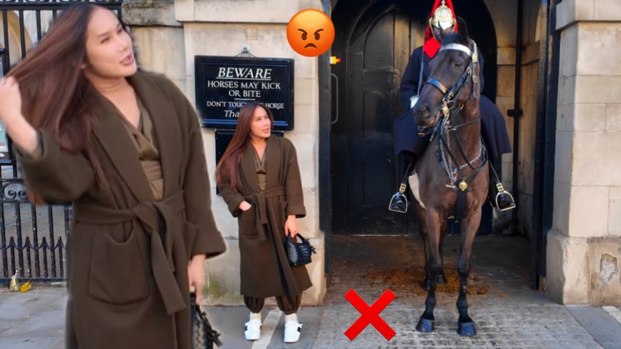 😡 Unacceptable Tourist Behaviour at Horse Guards London