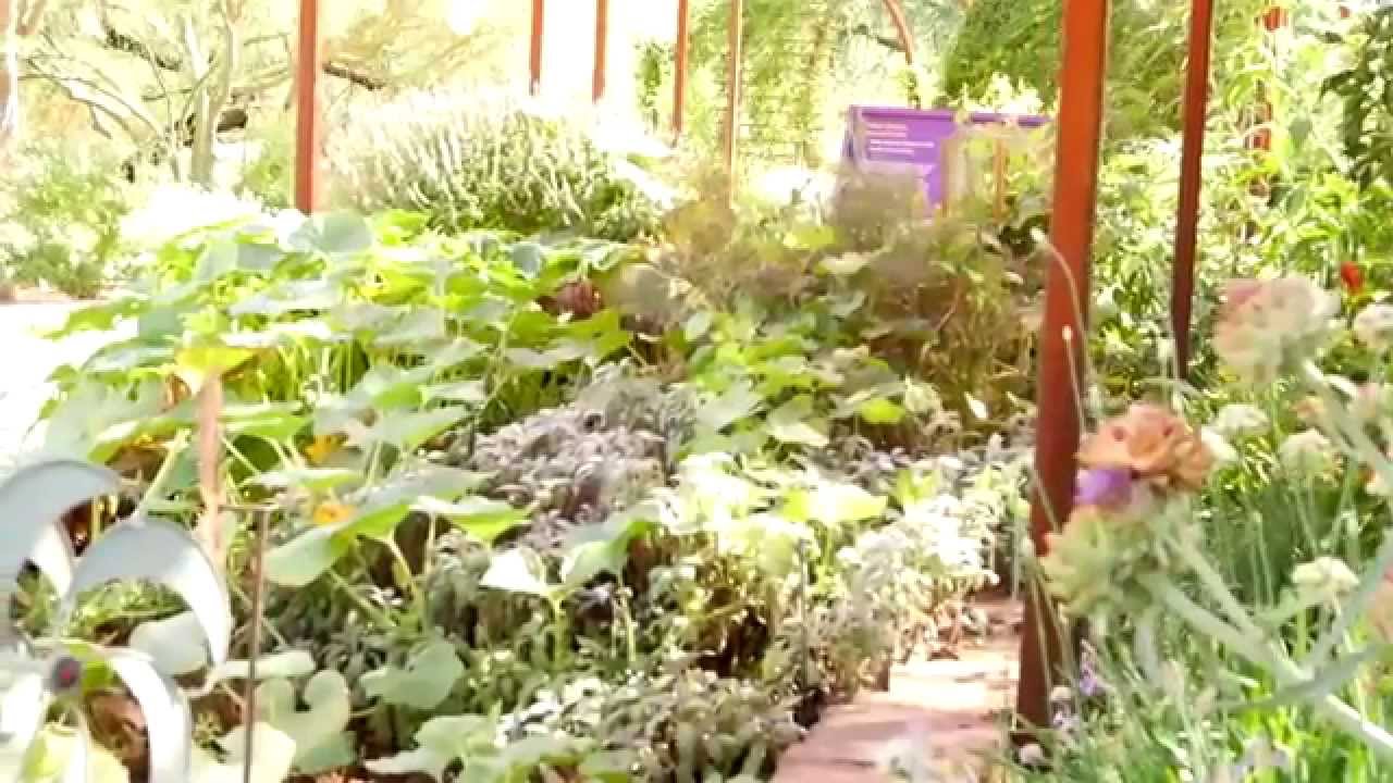 Coupon desert botanical garden