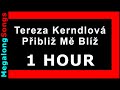 Tereza Kerndlová - Přibliž Mě Blíž 🔴 [1 hodina] 🔴 [1 HOUR] ✔️