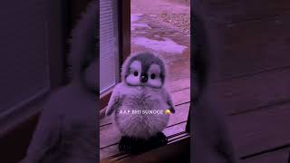 Dil Mera Senti HaiKithe✨💔 Reh Gaya🥺||Aesthetic Status #shorts#singing#lyricskithe#trending#video