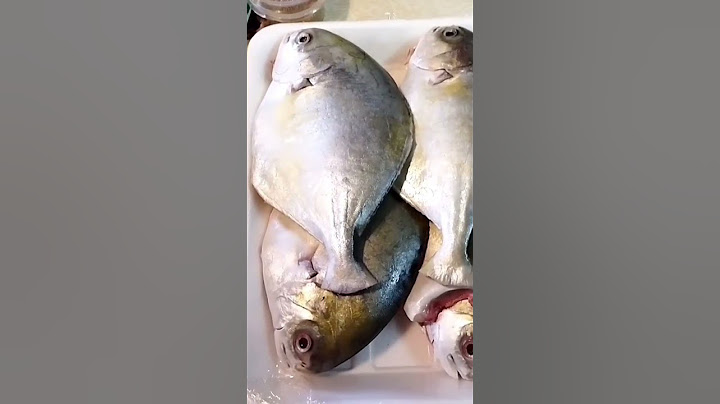 طريقه تحضير سمك الزبيدي مع ام عمار جرادات 💓💓💓💓