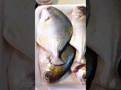 طريقه تحضير سمك الزبيدي مع ام عمار جرادات