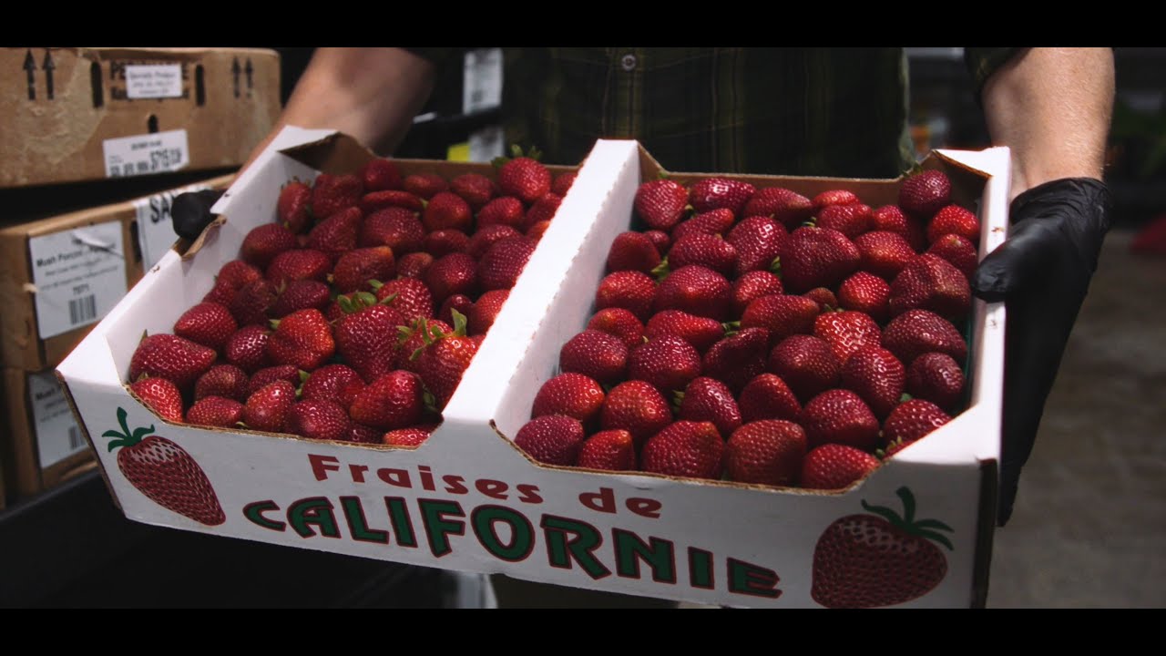 Local Focus Series: Specialty Produce & Herb and Wood