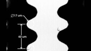 Single cell trapping and analysis in an immunomagnetic MEMS array