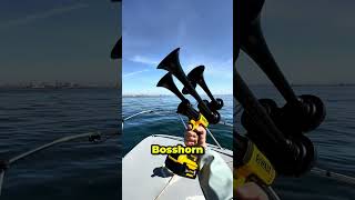 Make Waves, Make Noise! DeWalt Train Horn in Action 🌊🔊