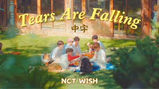 tears Are Falling  Nct Wish
