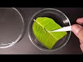 How some caterpillars eat a whole leaf #greentimelapse #gtl #timelapse