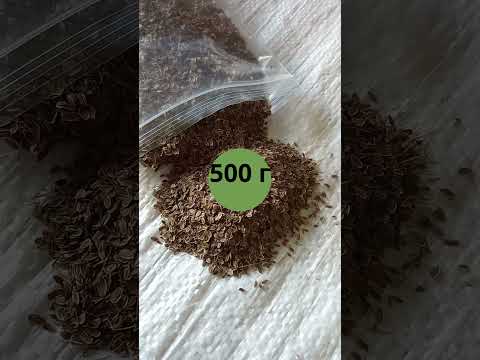 Кріп насіння (500 г), видео 1