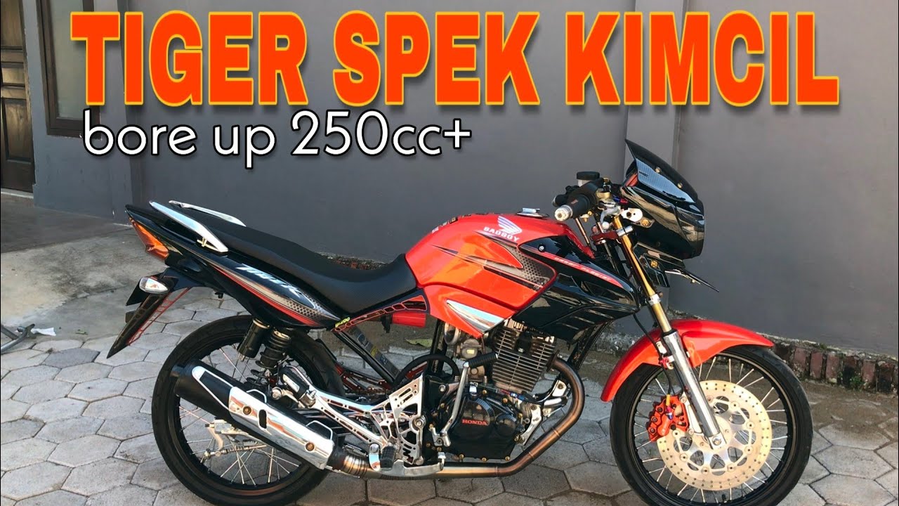 REVIEW TIGER REVO STREET RACING TOURING - SIMPLE ELEGAN KONSEP ‼️ - YouTube