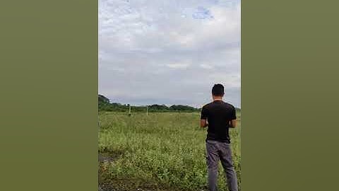 S800 reptile sky shadow inav autolaunch