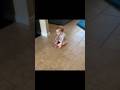 Funny Baby Crawling Moves 🍼😂 | Cutest Baby Moments Ever #trendingshorts