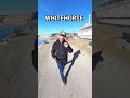 BIENVENUE À WHITEHORSE! 🏞🐴🇨🇦#canada #yukon #whitehorse #aventure #roadtrip