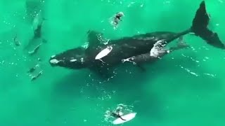 Beautiful Views A M Entertainment