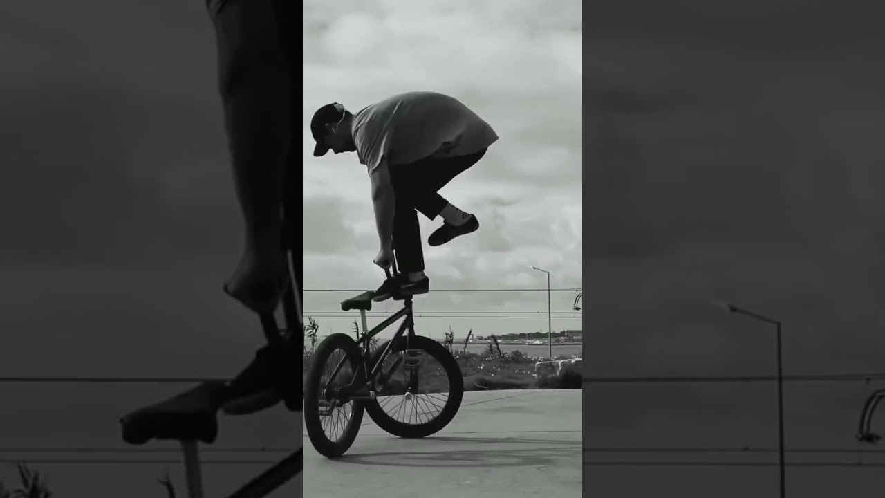 Double stem boomerang by Charles Paty 