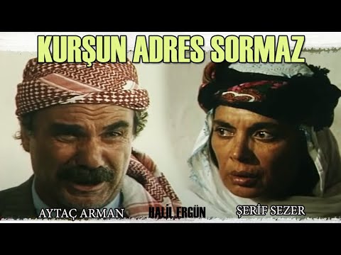 Kurşun Adres Sormaz Türk Filmi | Halil Ergün | Aytaç Arman | Şerif Sezer