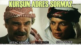 Kurşun Adres Sormaz Türk Filmi | Halil Ergün | Aytaç Arman | Şerif Sezer