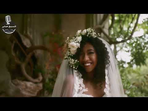 يا نجف بنور لنجوم نيو ستار غنوة افراح جامدة جدا