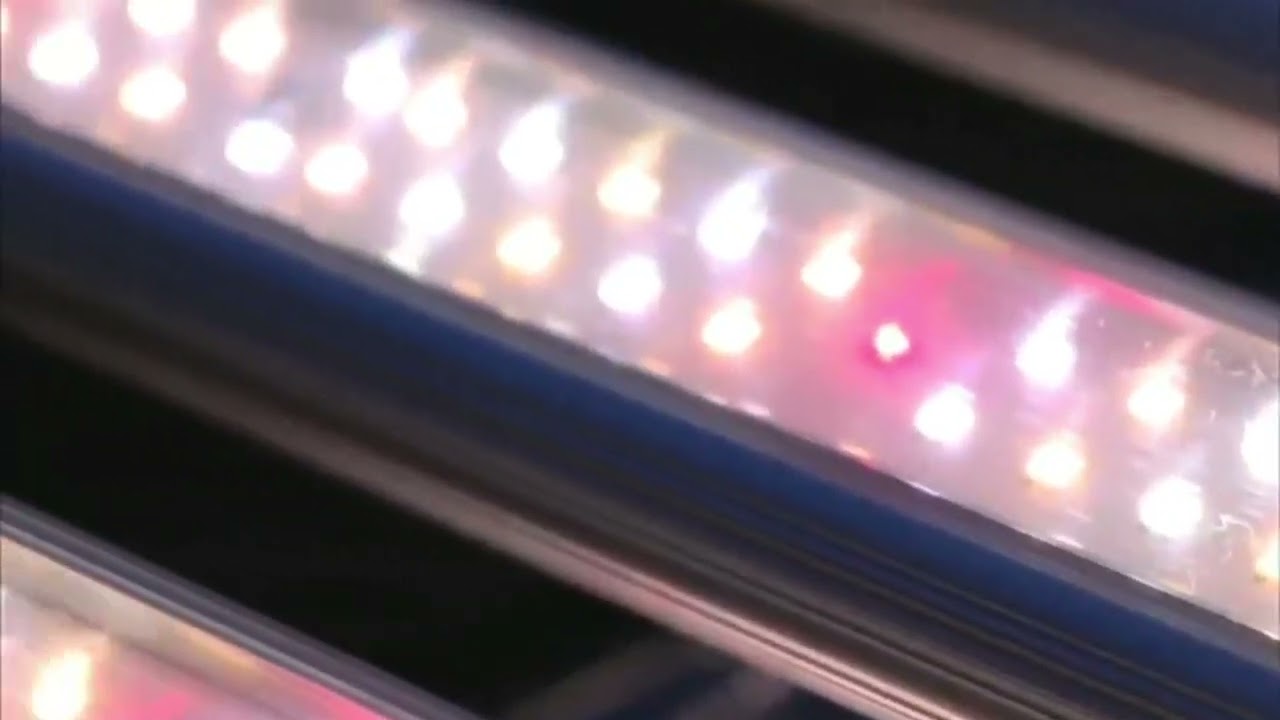 1000w spider LED Cultivation