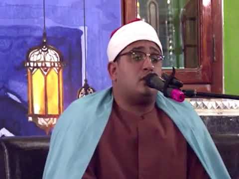 محمود الشحات افلا ينظرون الى الابل كيف خلقت مغردا بجمال الصوت