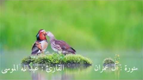 سورة آل عمران كاملة بصوت القارئ (عبدالله الموسى) بدون اعلانات