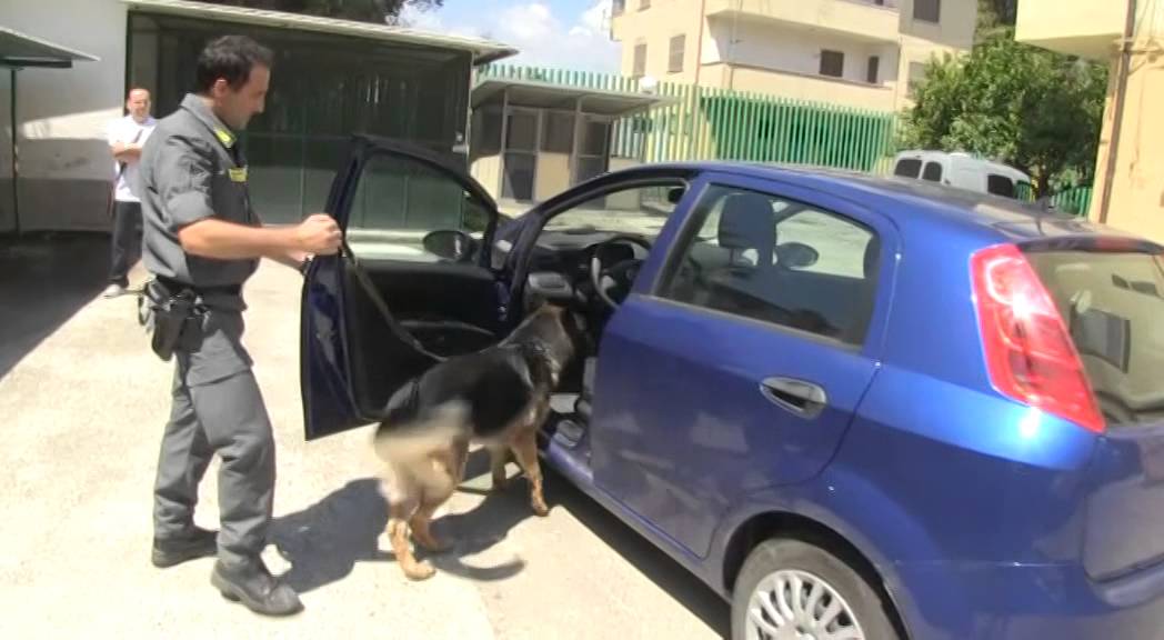 Operazione antidroga: l'impiego delle unità cinofile nella Guardia di Finanza