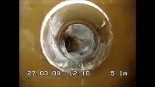 Özkardeşler Tanıtım