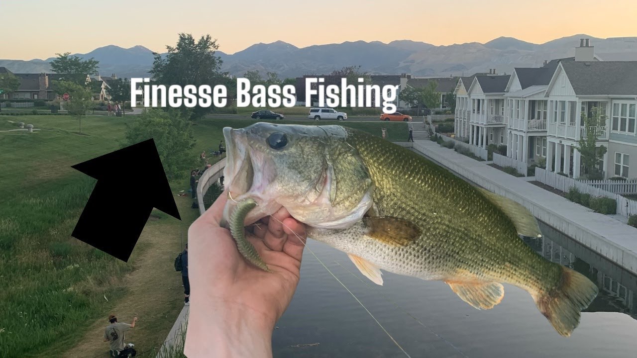 Pond Bass Fishing!
