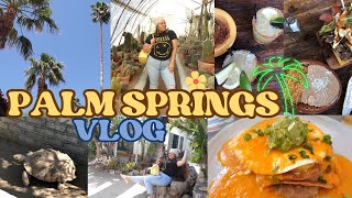 ✨NEW VLOG 2023 PALM SPRINGS: A day at Palm Springs  Things to do #vlog #dayinthelife #palmsprings