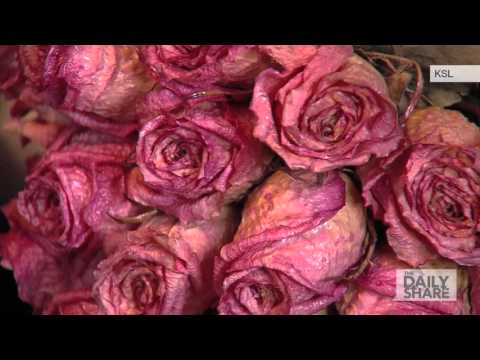 This woman has caught 46 wedding bouquets