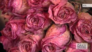 This woman has caught 46 wedding bouquets