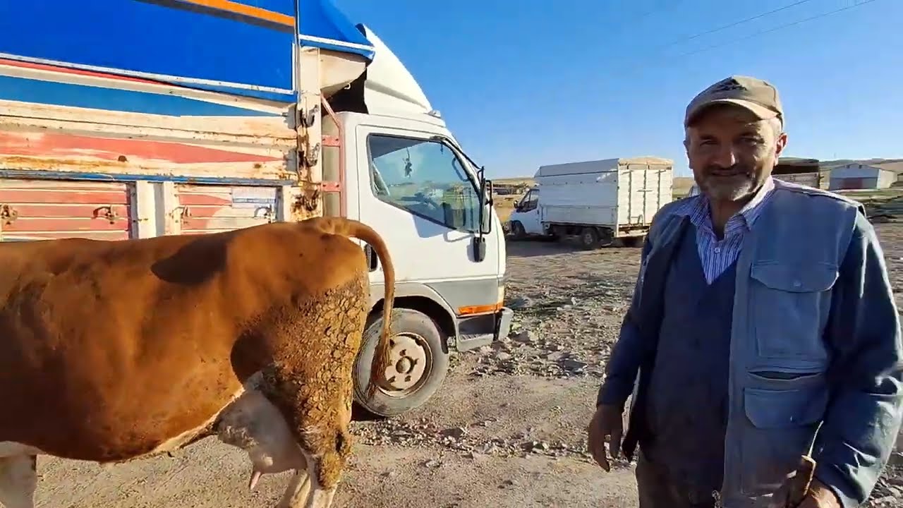 YOZGAT SORGUN HAYVAN PAZARI TEDBİR AMAÇLI KAPANDI