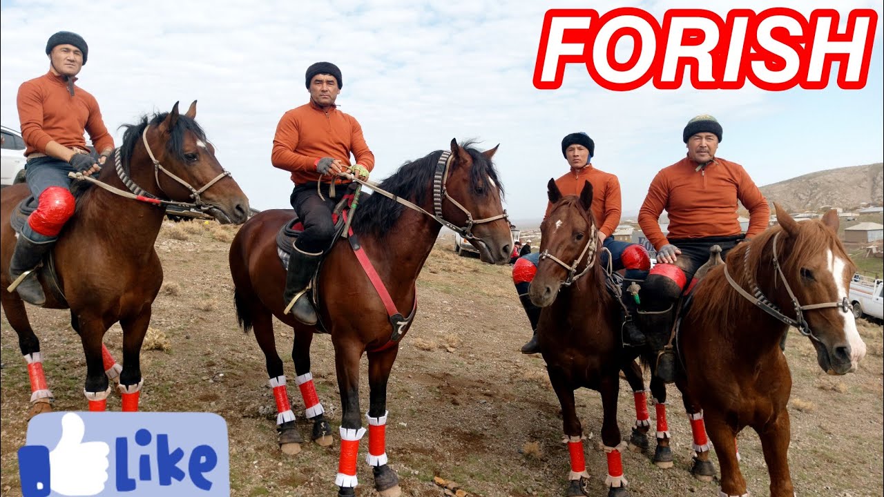 𝙅𝙄𝙕𝙕𝘼𝙓 𝙁𝙊𝙍𝙄𝙎𝙃 𝙆𝙊'𝙋𝙆𝘼𝙍𝙄 𝙊'𝘿𝘼𝙍 7 11 24 𝙔𝙄𝙇  @UZANGIDOSHLAR