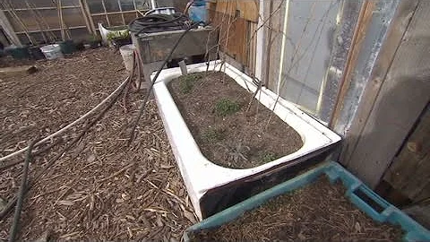 CNN: Roberta's urban garden