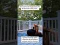 Happy Baby #yogapostures #beginneryoga #yoga #easystretch