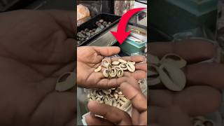 What Is Futi Kaudi Indias Oldest Currency