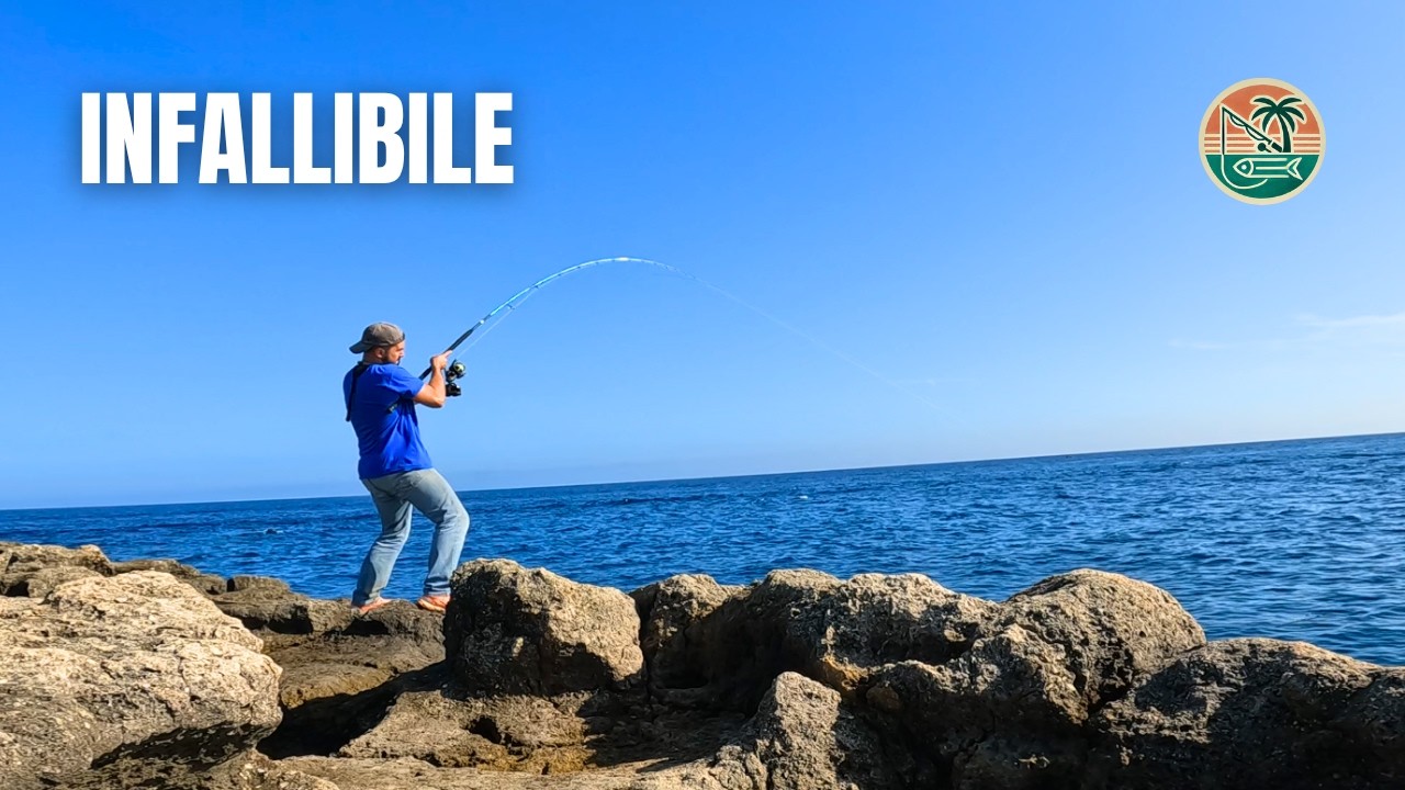 L'ESCA CHE NON PUO' MANCARE NELLA CASSETTA DA SPINNING IN AUTUNNO, PREDATORI SCATENATI E FRENESIA!