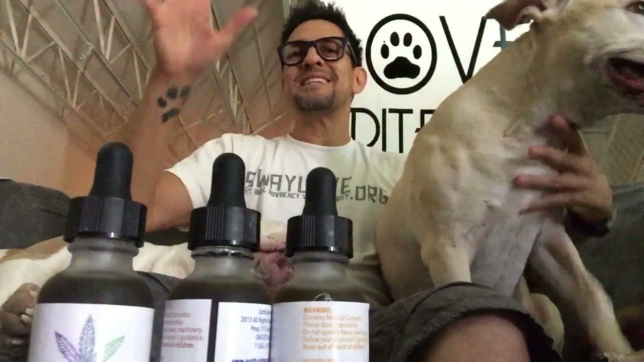 CANNABIS OIL SAVED MY DOG